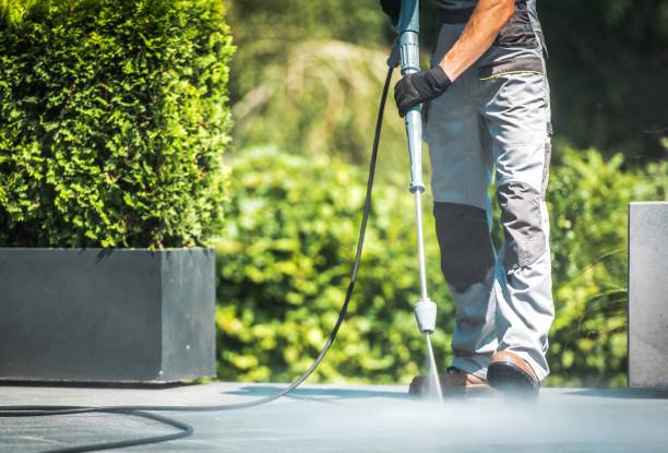 Best Pool Deck Cleaning  in Waukegan, IL